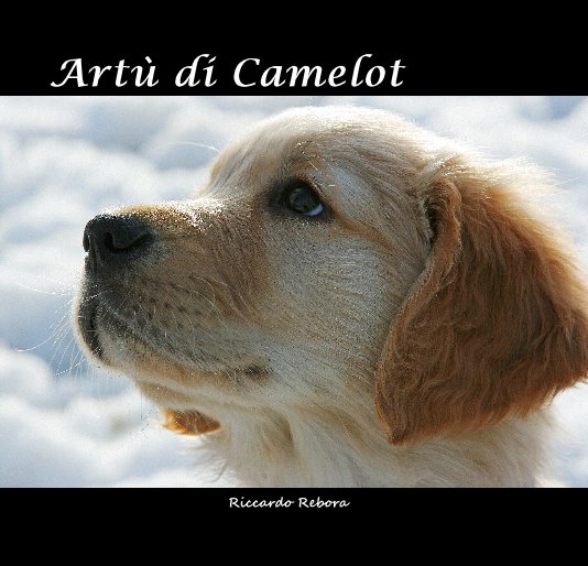 View Artù di Camelot by Riccardo Rebora
