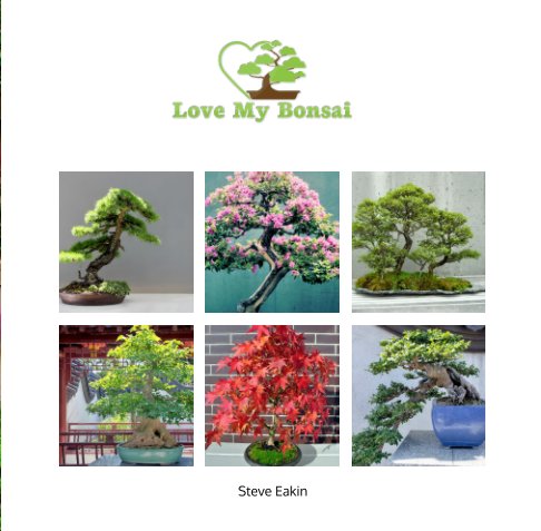 Visualizza Love My Bonsai di Steve Eakin