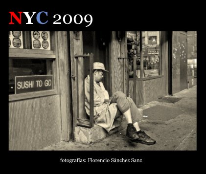 NYC 2009 book cover
