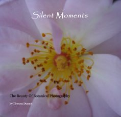 Silent Moments book cover