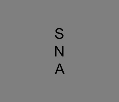S N A book cover