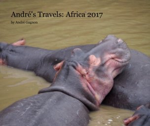André's Travels: Africa 2017 book cover