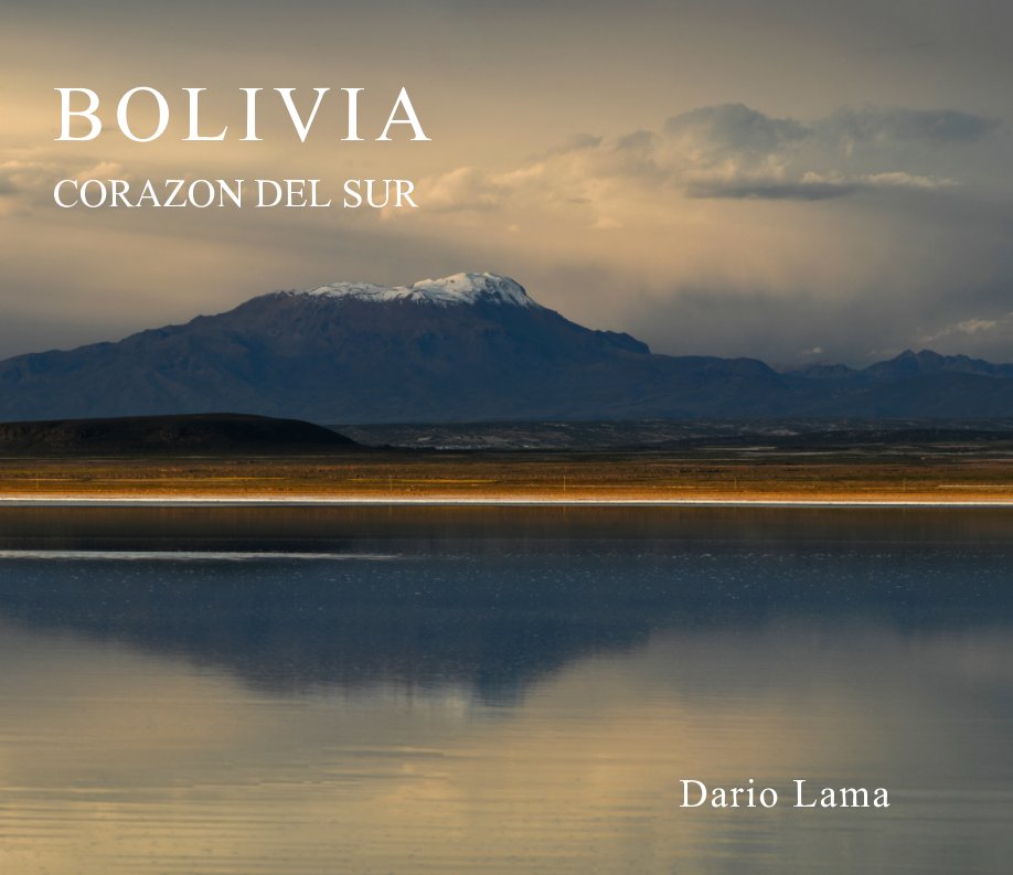 View Bolivia by Dario Lama