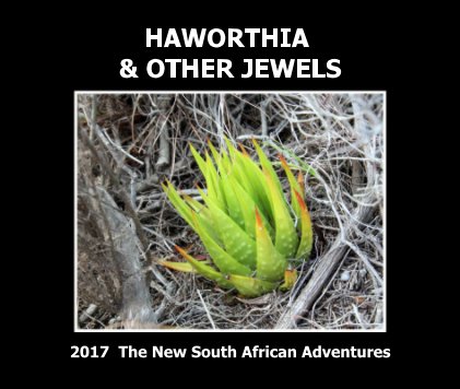 Haworthia and other jewels book cover