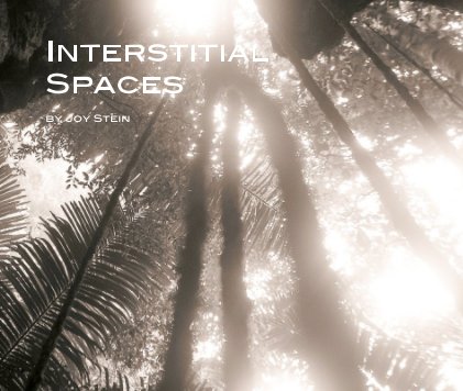 Interstitial Spaces book cover
