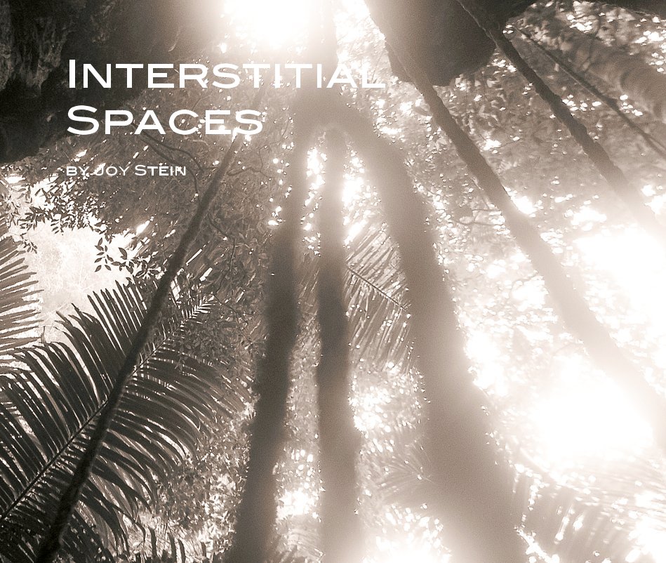 View Interstitial Spaces by Joy Stein