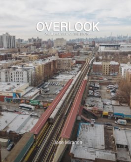Overlook  -An Aerial View Of The Bronx- book cover