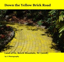 Down the Yellow Brick Road book cover