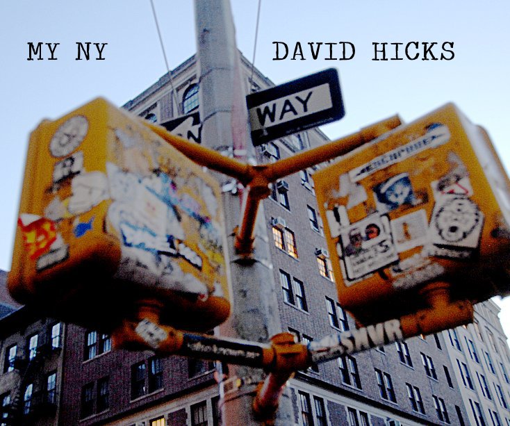 Ver MY NY por David Hicks