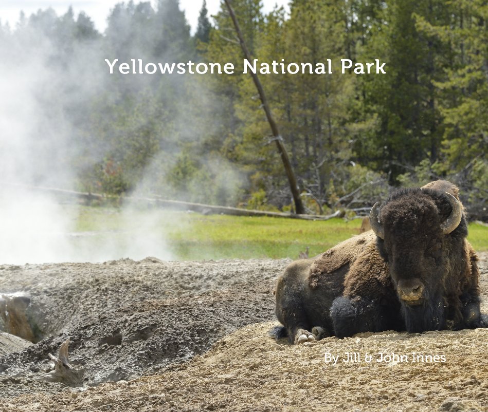 View Yellowstone National Park by Jill and John Innes