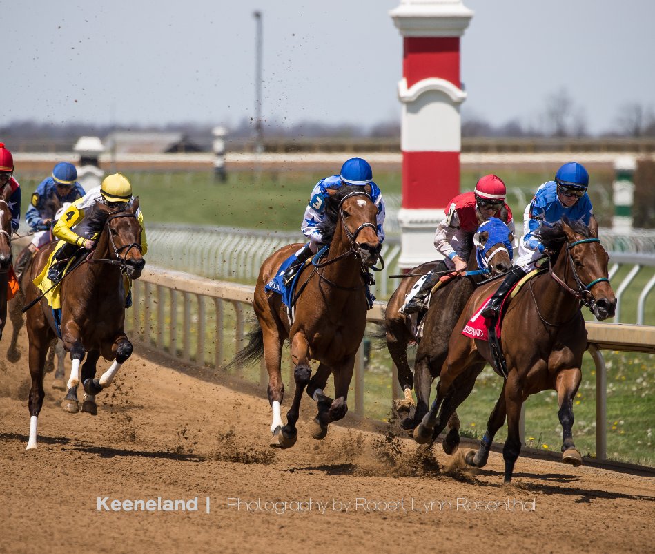 View Keeneland by Robert Lynn Rosenthal