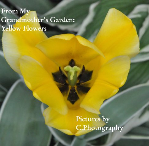 View From My Grandmother's Garden by C. Photography