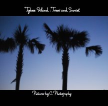 Tybee Island book cover
