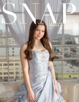 Snap Model Magazine Vol 78 book cover