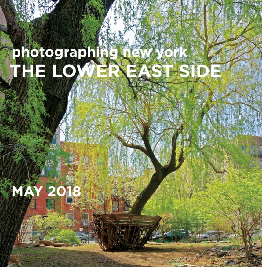 View Photographing the Lower East Side by Brian Rose