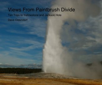 Views From Paintbrush Divide book cover