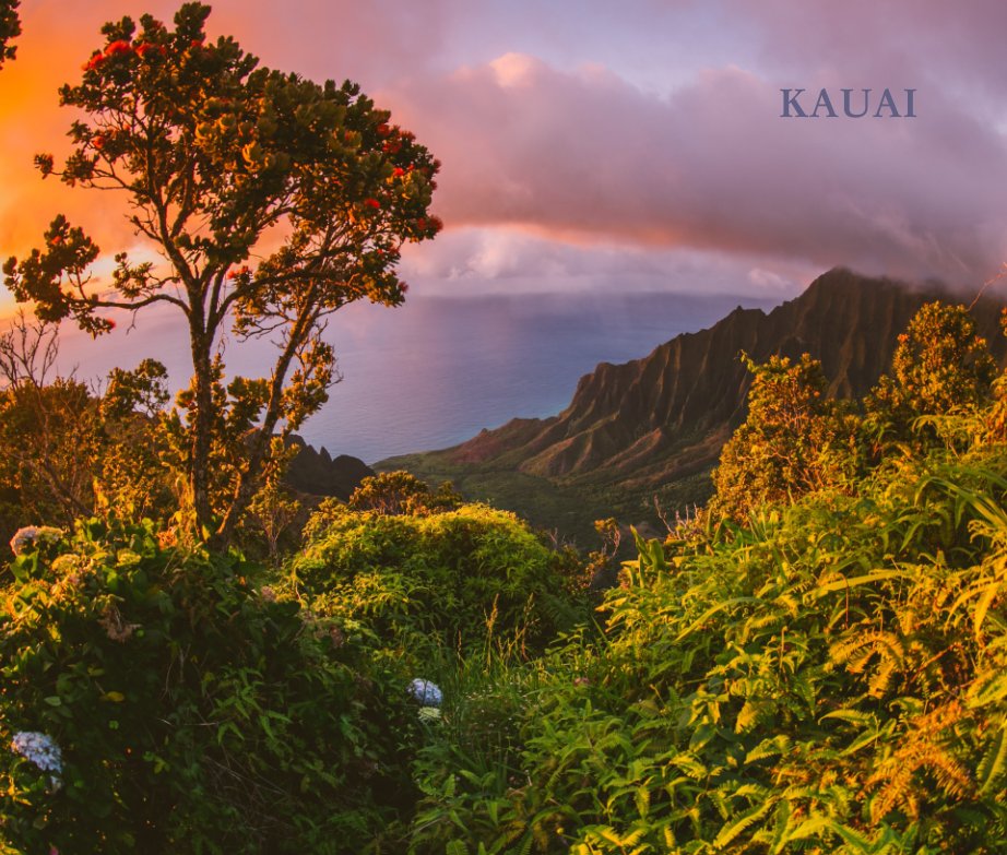 View KAUAI by Meg Bradyhouse
