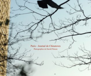 Paris - Journal de Chinatown book cover