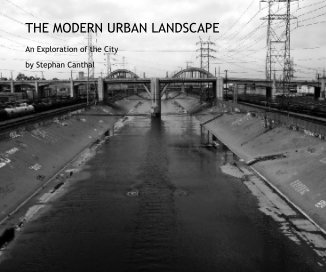 THE MODERN URBAN LANDSCAPE book cover