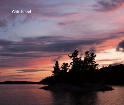 Galt Island book cover