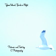 Tybee Island book cover