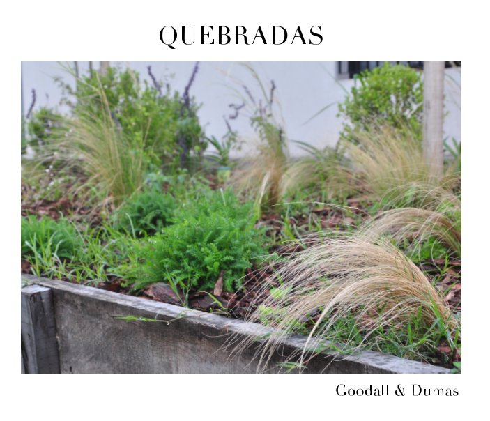 View Quebradas by Sandra Goodall & Ana J Dumas