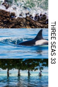 Three Seas 33 book cover