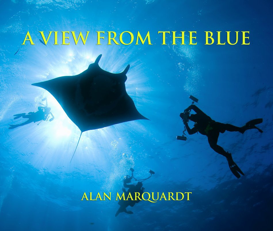 View A View From The Blue by Alan Marquardt
