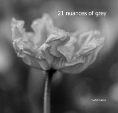 21 nuances of grey book cover