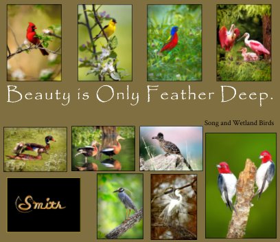 Beauty is Only Feather Deep book cover