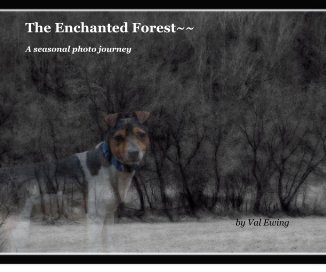 The Enchanted Forest~~ book cover