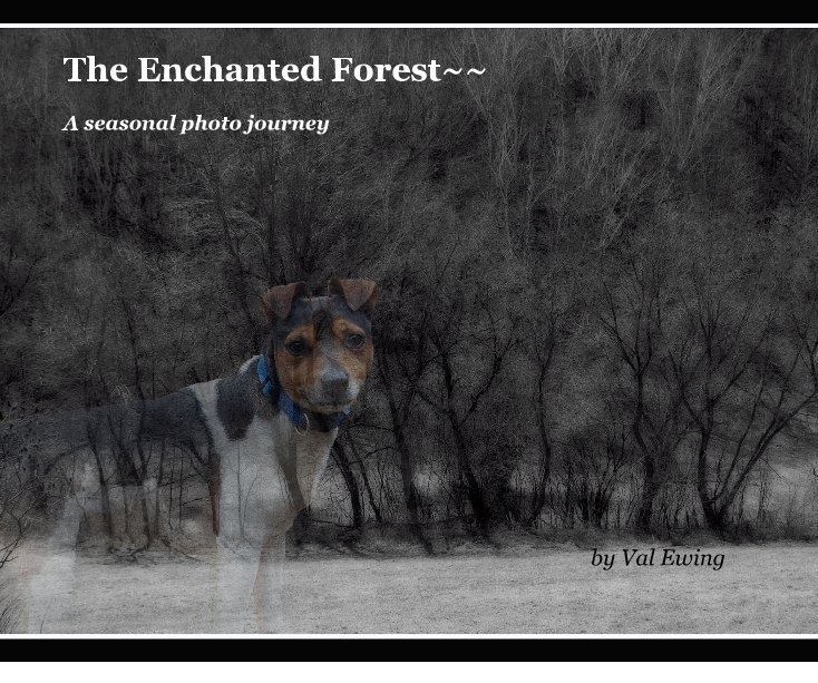 View The Enchanted Forest~~ by Val Ewing