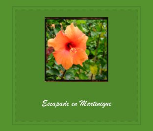 Escapade en Martinique book cover