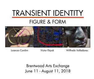 Transient Identity: Figure & Form book cover