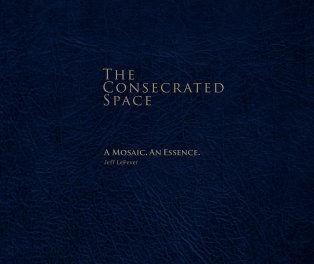 The Consecrated Space book cover