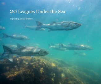 20 Leagues Under the Sea book cover