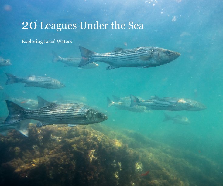 20 Leagues Under the Sea nach thowell anzeigen