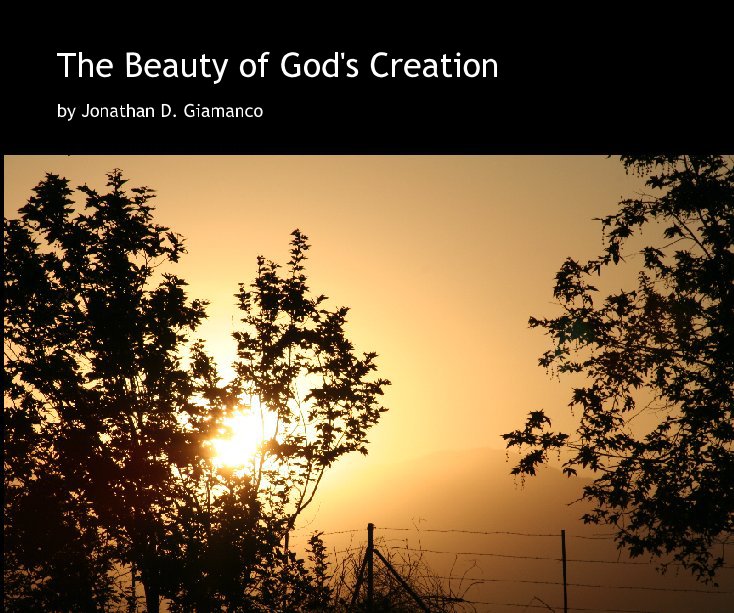 View The Beauty of God's Creation by Jonathan D. Giamanco