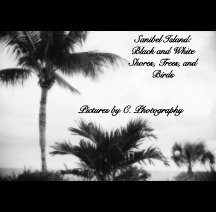 Sanibel Island book cover