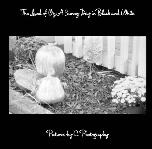View The Land of Oz by C. Photography