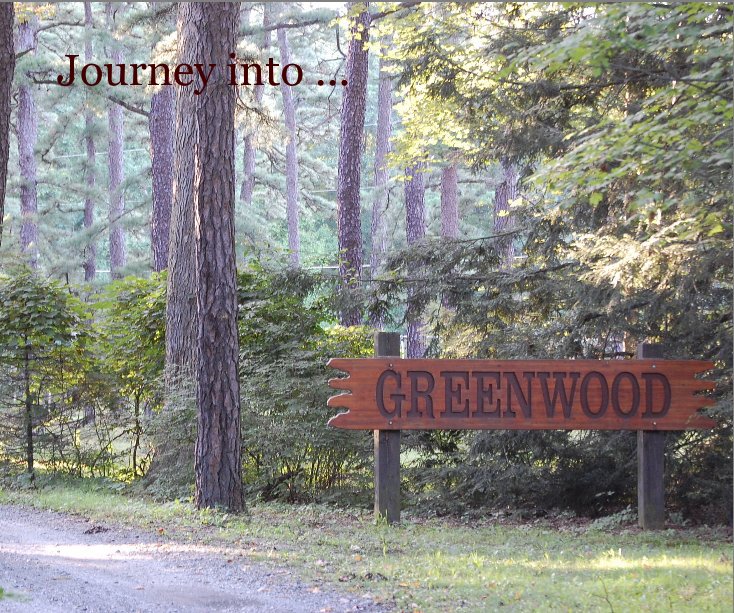 View Journey into Greenwood by Marcia Evans