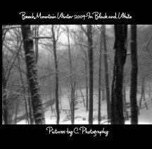 Beech Mountain Winter 2009 book cover