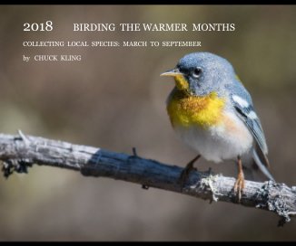 2018 Birding The Warmer Months book cover