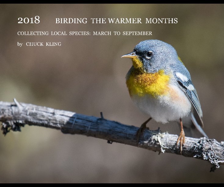 Ver 2018 Birding The Warmer Months por CHUCK KLING