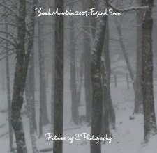Beech Mountain 2009 book cover