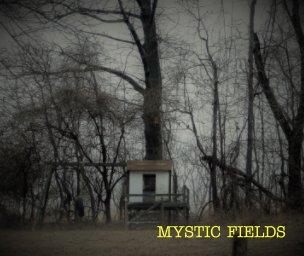 Mystic Fields book cover