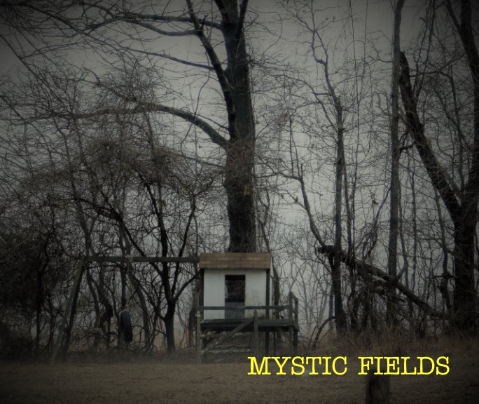 View Mystic Fields by John M. Houldin