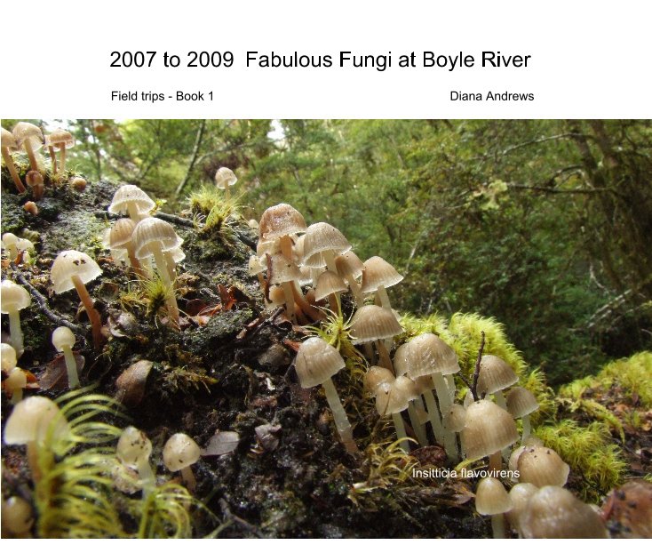 View 2007 to 2009 Fabulous Fungi at Boyle River by Diana Andrews