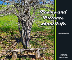 Poem Book book cover