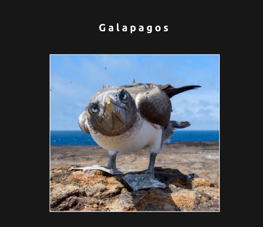 Ver Galapagos por Timohin Dijkgraaf